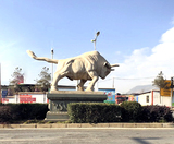 会泽县